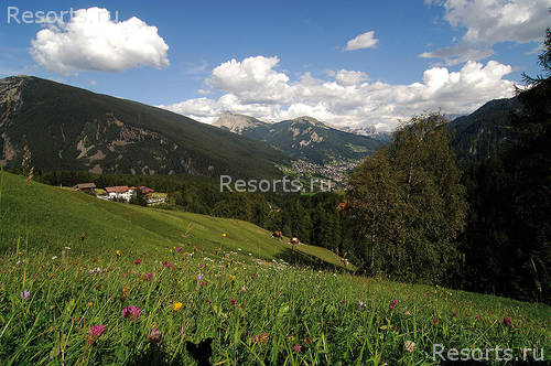 Hotel Scherlin 32